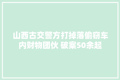山西古交警方打掉落偷窃车内财物团伙 破案50余起