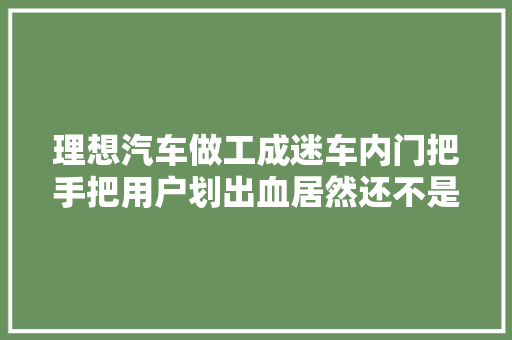 理想汽车做工成迷车内门把手把用户划出血居然还不是个例