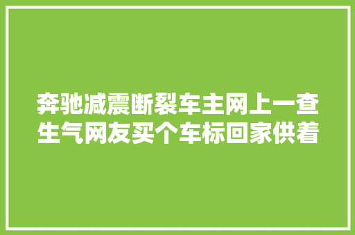 奔驰减震断裂车主网上一查生气网友买个车标回家供着