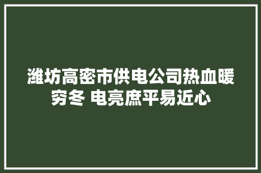 潍坊高密市供电公司热血暖穷冬 电亮庶平易近心