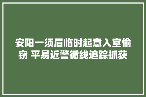 安阳一须眉临时起意入室偷窃 平易近警循线追踪抓获