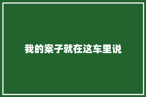 我的案子就在这车里说