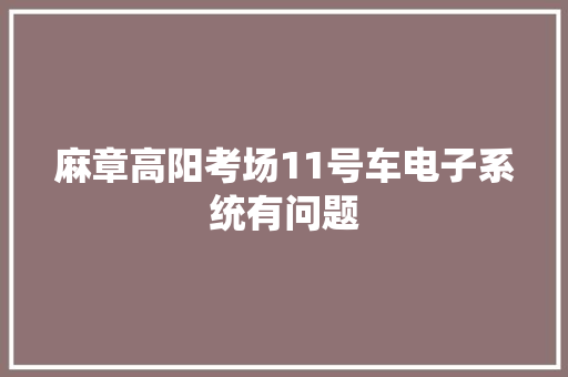 麻章高阳考场11号车电子系统有问题