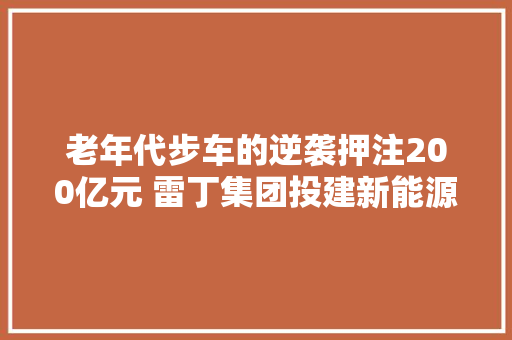 老年代步车的逆袭押注200亿元 雷丁集团投建新能源基地