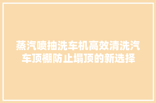 蒸汽喷抽洗车机高效清洗汽车顶棚防止塌顶的新选择