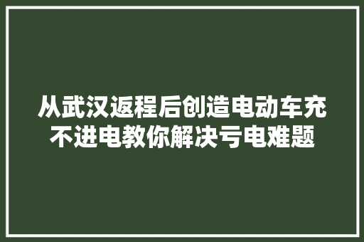 从武汉返程后创造电动车充不进电教你解决亏电难题