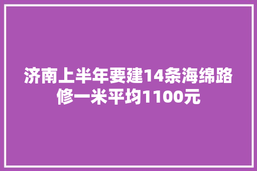 济南上半年要建14条海绵路修一米平均1100元