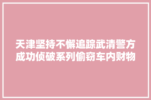 天津坚持不懈追踪武清警方成功侦破系列偷窃车内财物案件
