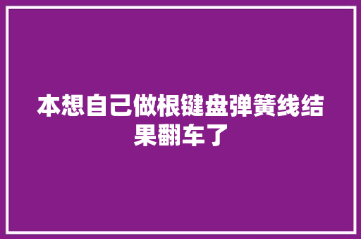 本想自己做根键盘弹簧线结果翻车了