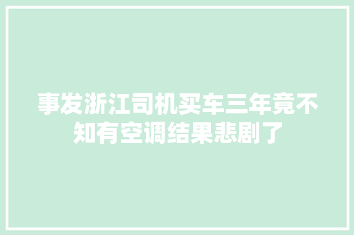 事发浙江司机买车三年竟不知有空调结果悲剧了 汽车知识