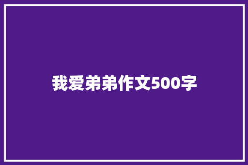我爱弟弟作文500字