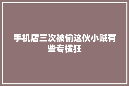 手机店三次被偷这伙小贼有些专横狂