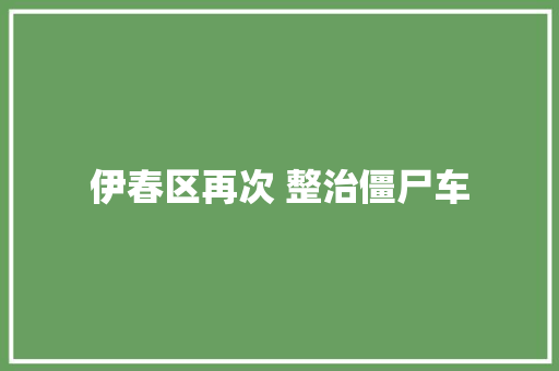 伊春区再次 整治僵尸车