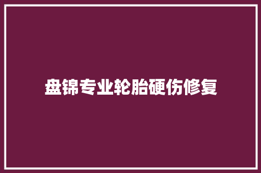盘锦专业轮胎硬伤修复