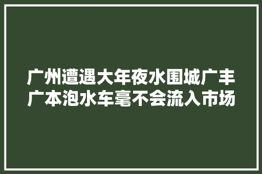 广州遭遇大年夜水围城广丰广本泡水车毫不会流入市场