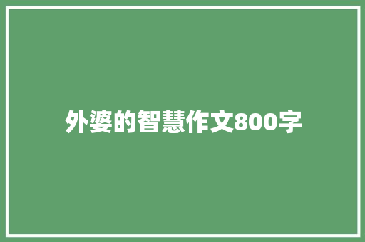 外婆的智慧作文800字