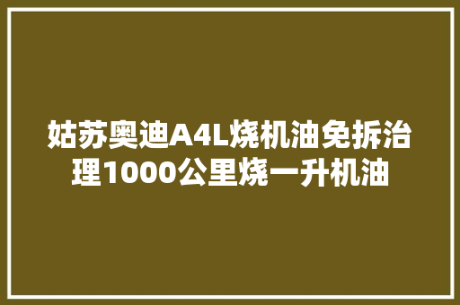 姑苏奥迪A4L烧机油免拆治理1000公里烧一升机油 汽车知识