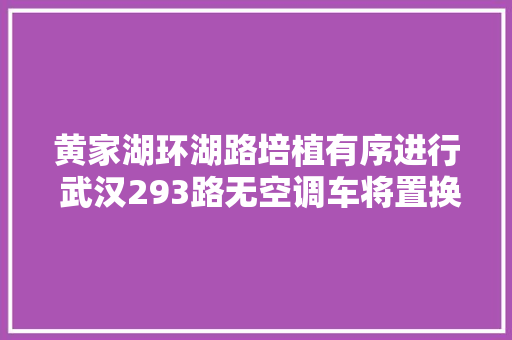 黄家湖环湖路培植有序进行 武汉293路无空调车将置换