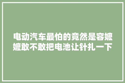 电动汽车最怕的竟然是容嬷嬷敢不敢把电池让针扎一下