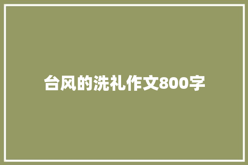 台风的洗礼作文800字
