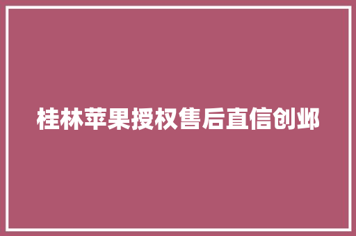 桂林苹果授权售后直信创邺