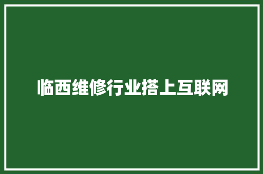 临西维修行业搭上互联网