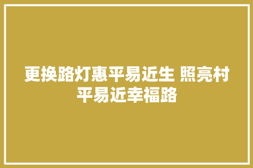 更换路灯惠平易近生 照亮村平易近幸福路