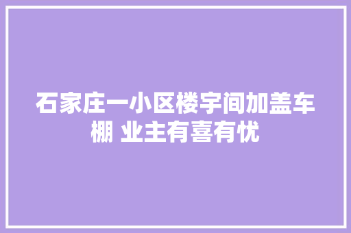 石家庄一小区楼宇间加盖车棚 业主有喜有忧