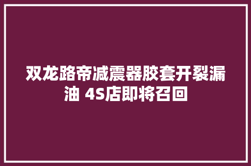 双龙路帝减震器胶套开裂漏油 4S店即将召回