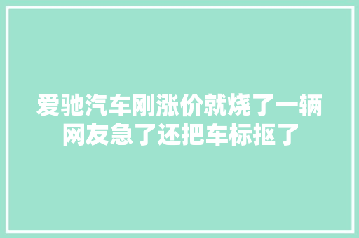 爱驰汽车刚涨价就烧了一辆网友急了还把车标抠了