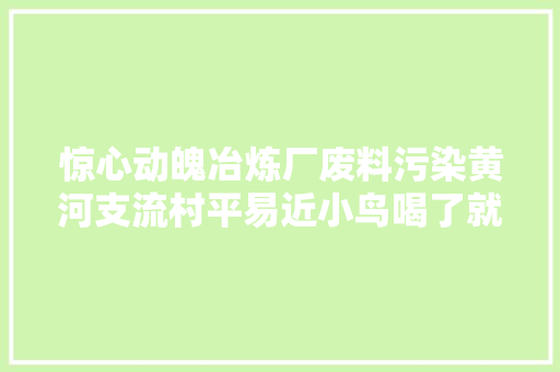 惊心动魄冶炼厂废料污染黄河支流村平易近小鸟喝了就去世