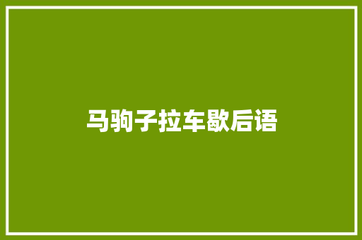 马驹子拉车歇后语