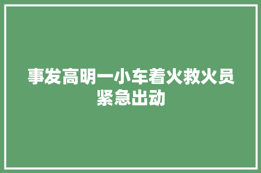 事发高明一小车着火救火员紧急出动