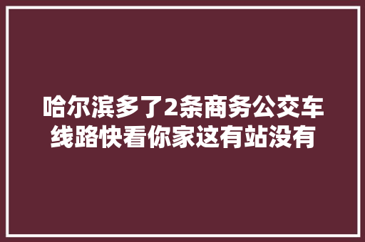 哈尔滨多了2条商务公交车线路快看你家这有站没有