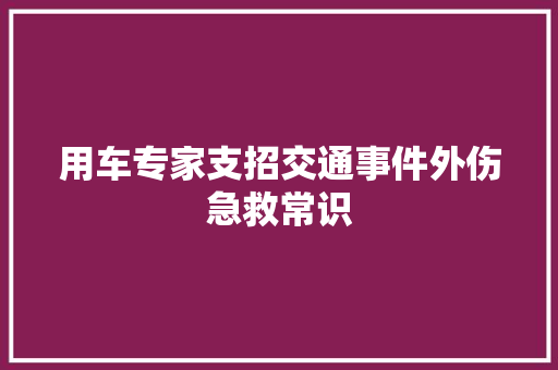 用车专家支招交通事件外伤急救常识