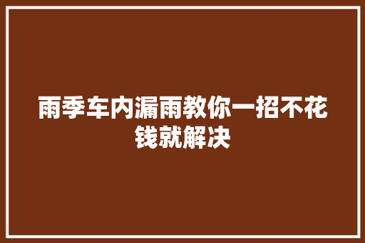 雨季车内漏雨教你一招不花钱就解决 汽车知识