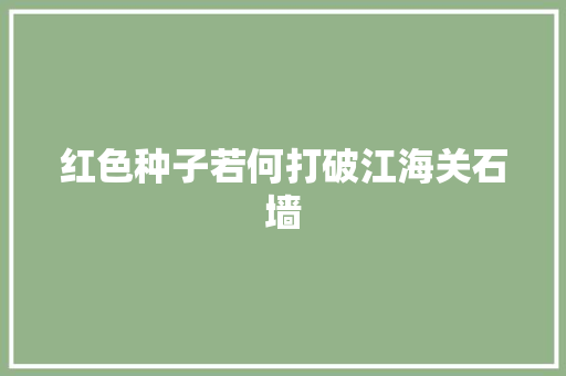 红色种子若何打破江海关石墙 汽车知识