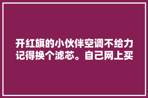 开红旗的小伙伴空调不给力记得换个滤芯。自己网上买几块钱儿 汽车知识