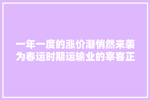 一年一度的涨价潮悄然来袭为春运时期运输业的宰客正名