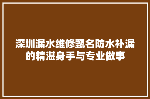 深圳漏水维修甄名防水补漏的精湛身手与专业做事