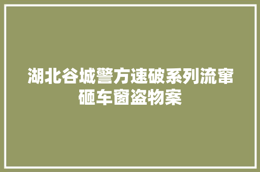 湖北谷城警方速破系列流窜砸车窗盗物案