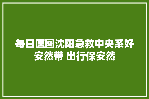每日医图沈阳急救中央系好安然带 出行保安然