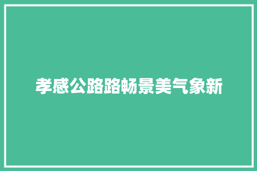 孝感公路路畅景美气象新