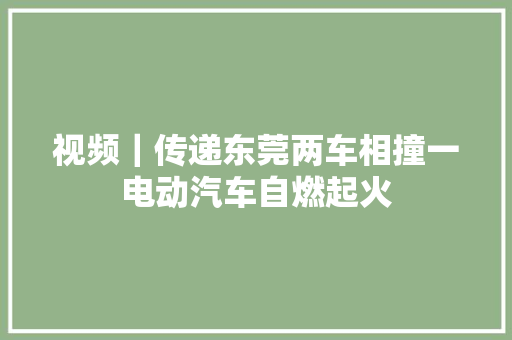 视频｜传递东莞两车相撞一电动汽车自燃起火