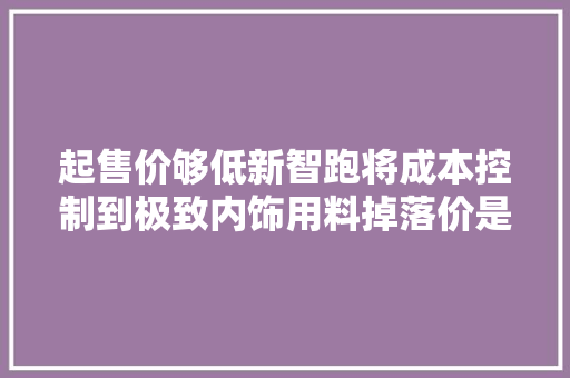 起售价够低新智跑将成本控制到极致内饰用料掉落价是硬伤
