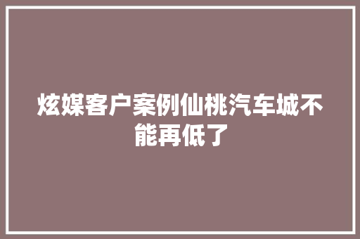 炫媒客户案例仙桃汽车城不能再低了