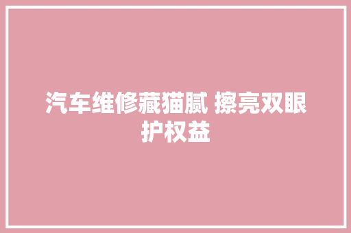 汽车维修藏猫腻 擦亮双眼护权益
