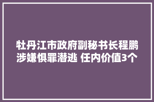 牡丹江市政府副秘书长程鹏涉嫌惧罪潜逃 任内价值3个多亿工程烂尾至今