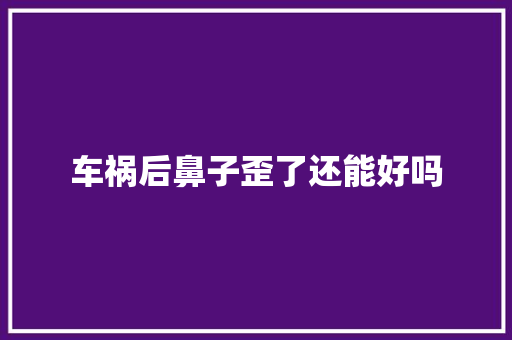 车祸后鼻子歪了还能好吗
