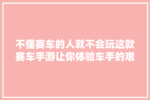 不懂赛车的人就不会玩这款赛车手游让你体验车手的艰辛